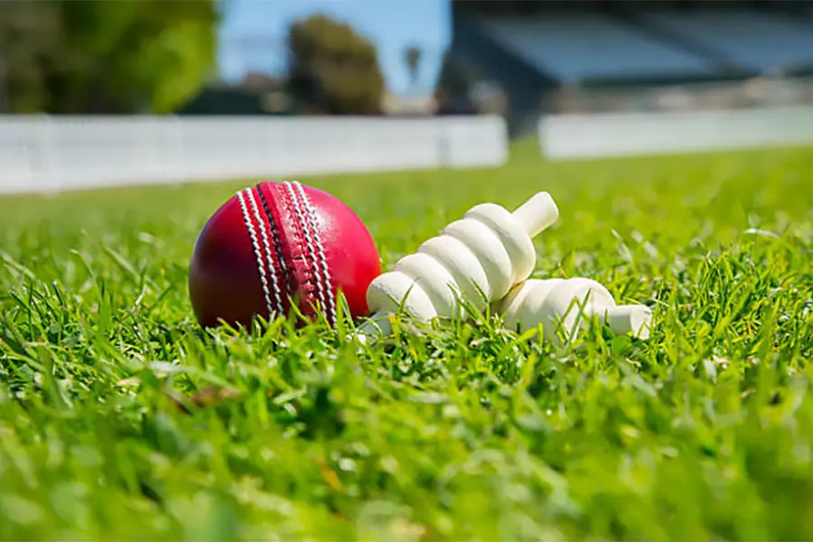 Cricket ball