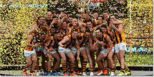 Hawthorn win premiership