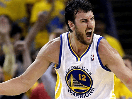 Andrew Bogut