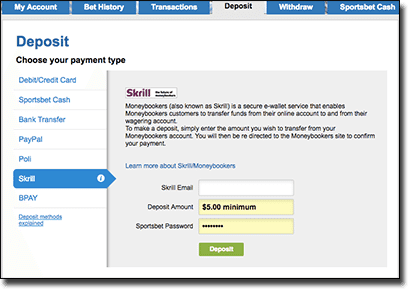 online skrill money adder