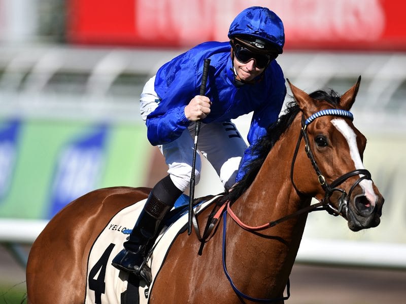 Hartnell is the favourite and the no.1 chance from the Godolphin stable to win the 2016 Melbourne Cup. 