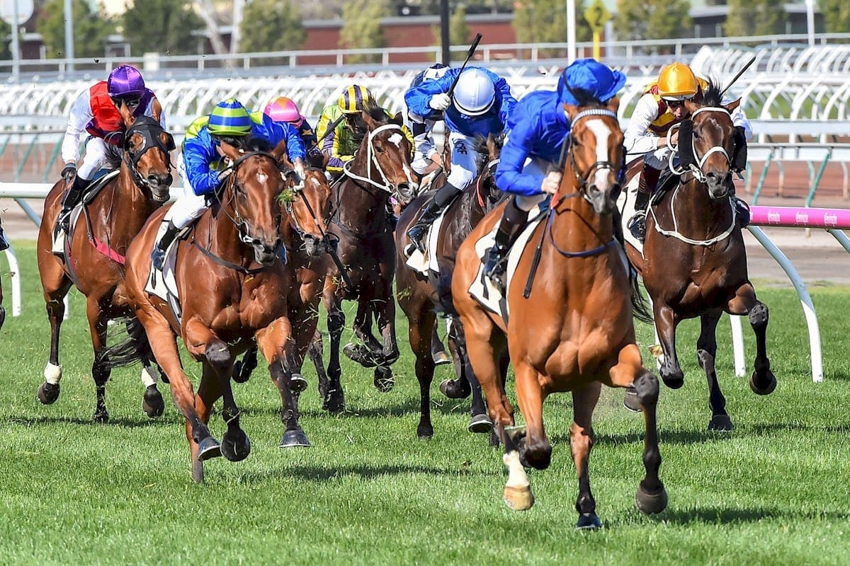 Hartnell (GB) ridden by James McDonald wins Yellowglen Turnbull Stakes at Flemington Racecourse on October 02, 2016 in Flemington, Australia. (John Donegan/Racing Photos)