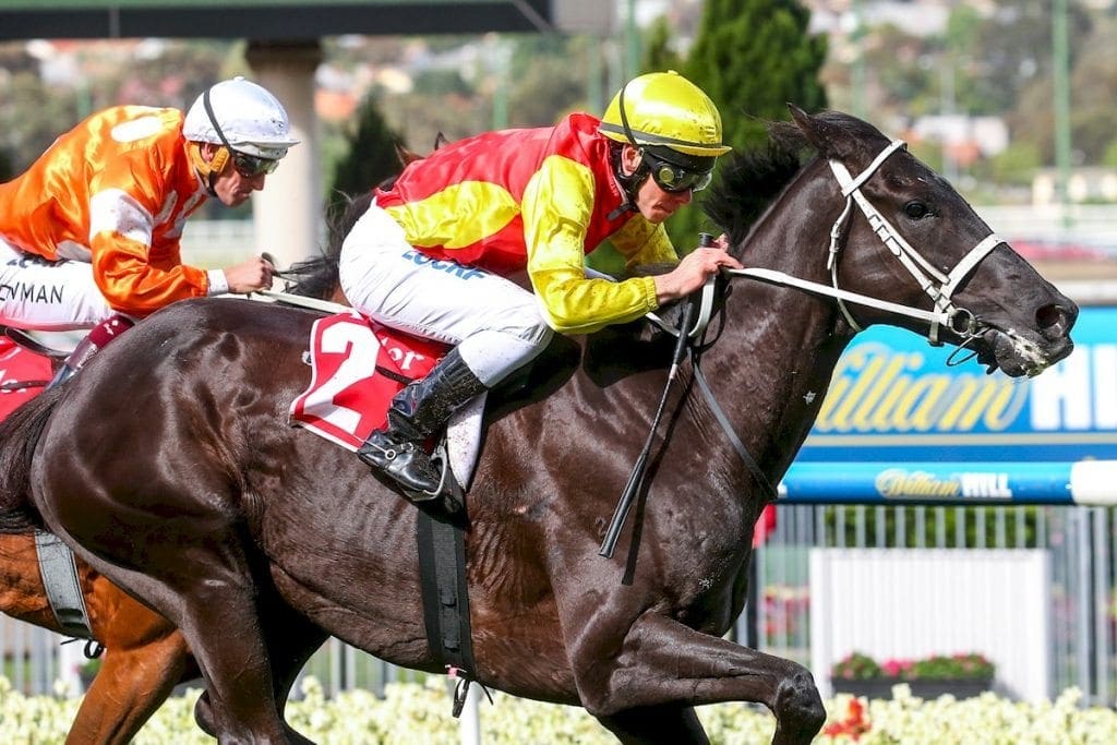 Grand Marshal upstages rivals in Moonee Valley Cup
