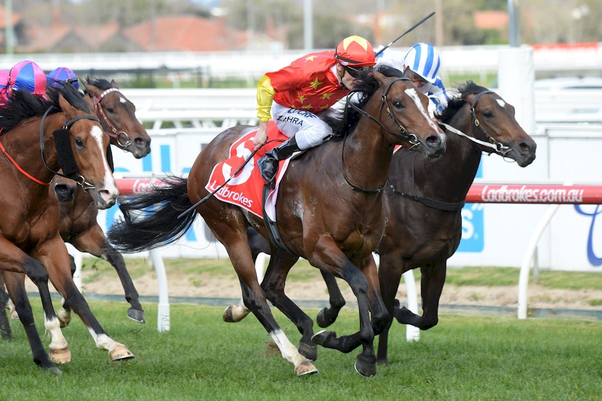 Russian Revolution, ridden by Mark Zahra, won the  Vain Stakes at Caulfield earlier this year. The Snowdens are hoping for more good results this weekend. (Ross Holburt/Racing Photos)