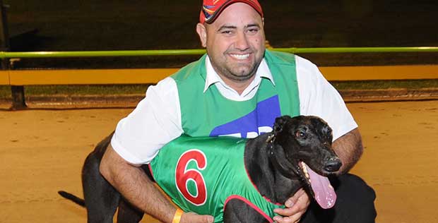 Zambora Brockie Greyhound Zambora Brockie