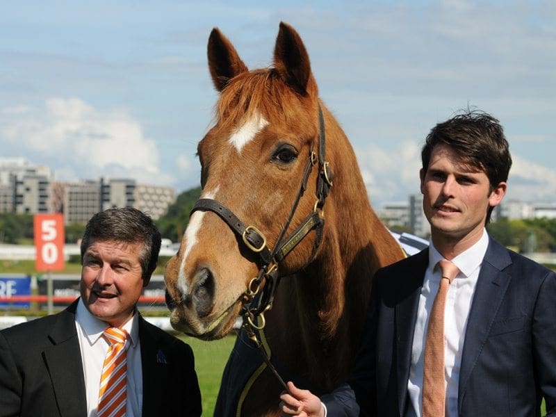 Melbourne Cup winner Saintly with Darren Beadman and James Cummings