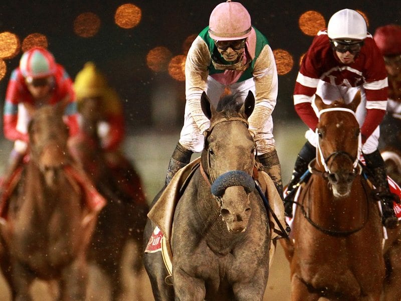 Arrogate (USA) ridden by Mike Smith leads in the Dubai World Cup