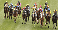 Best Horse Racing Betting Sites UK - SuperLenny