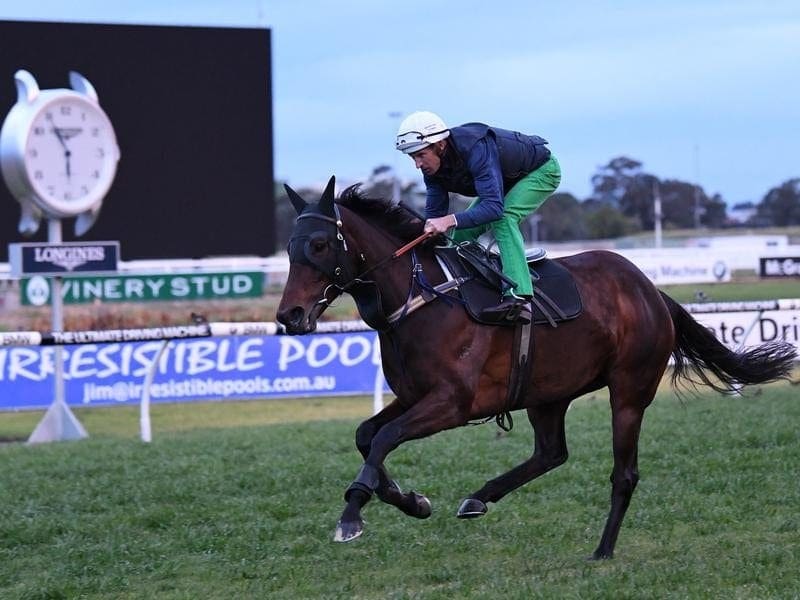 Winx ridden by Hugh Bowman