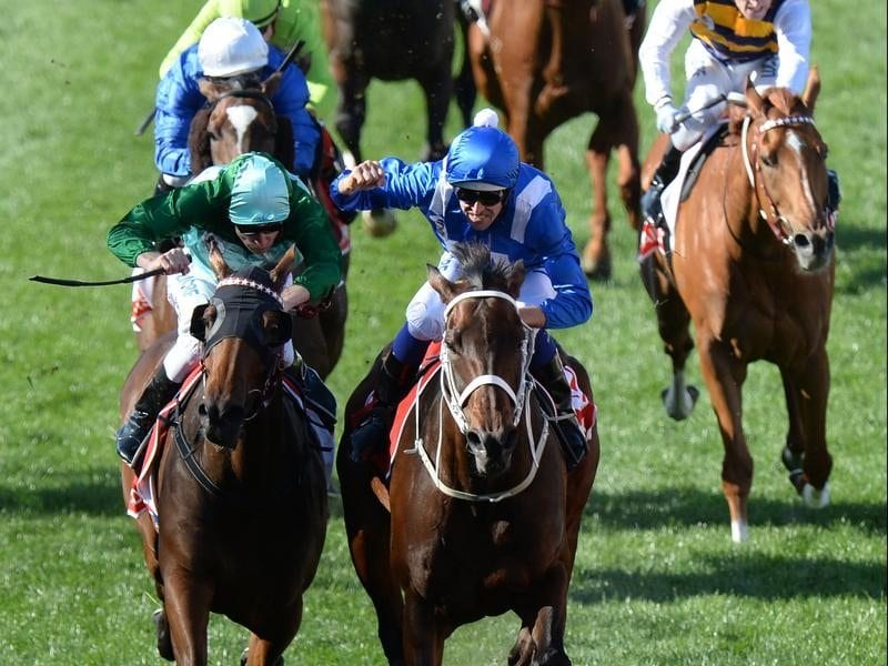 Winx and Humidor fight out the Cox Plate finish.