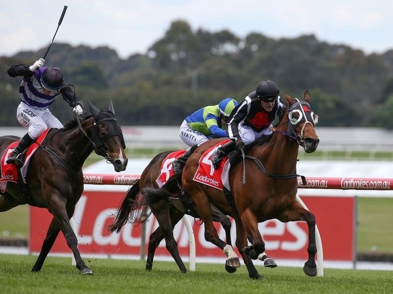 As long as the rain stays around Melbourne, Jungle Edge will run at Sandown. edge