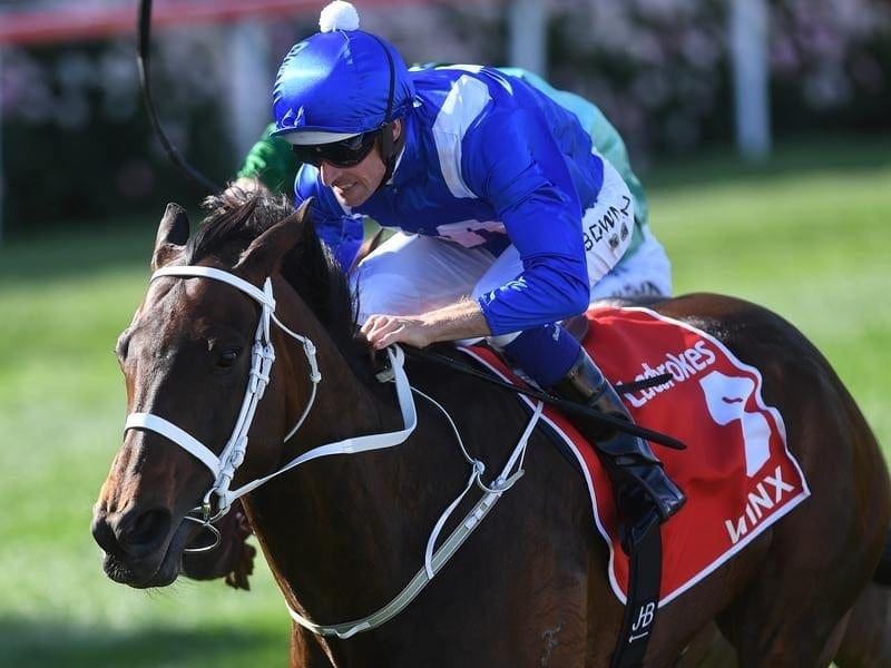 Winx96: An Exciting Casino-Game Review for Australian Players