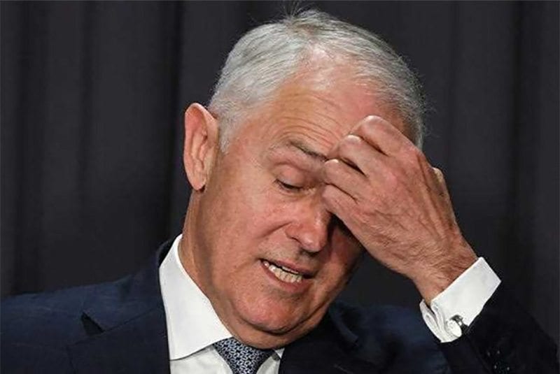 Malcolm Turnbull betting