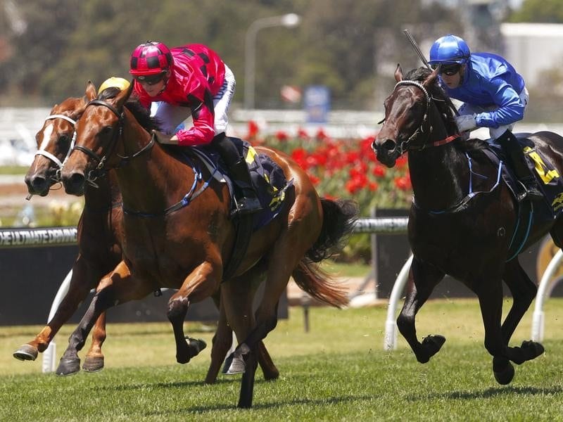 Secret Lady wins the Golden Gift at Rosehill