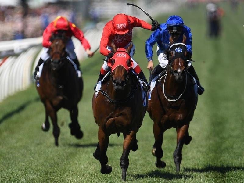 Redzel Delivers For Everyday Aussie Owners 