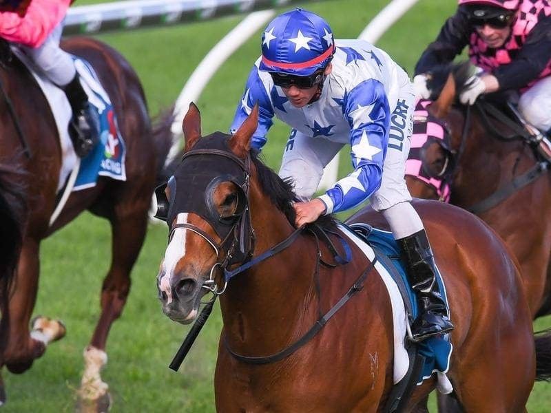 Fresh from his first stakes win on Crack Me Up, Matt McGillivray gets a chance for a 2nd at Doomben. siegfried