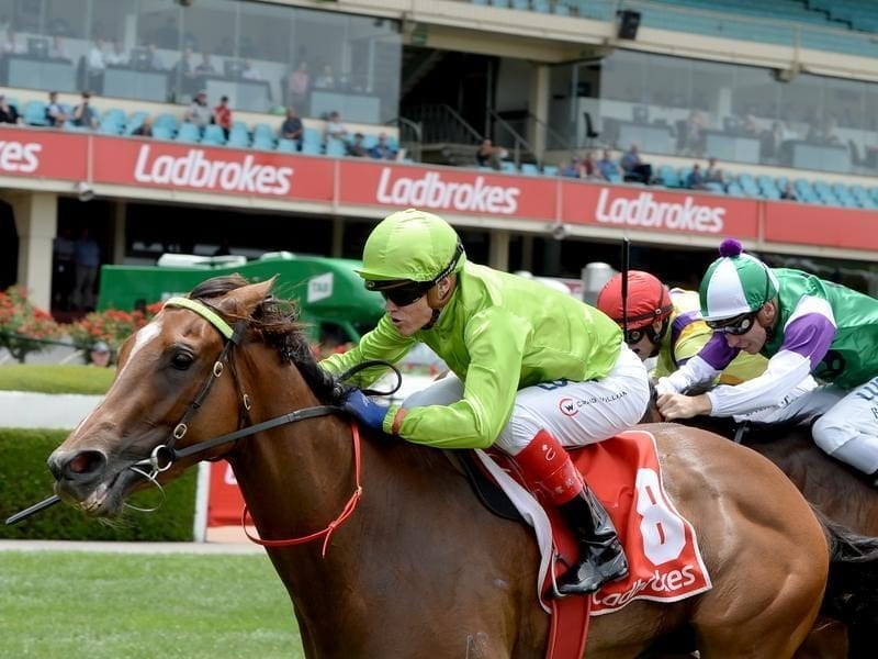 Truly Discreet leads all the way at Moonee Valley.
