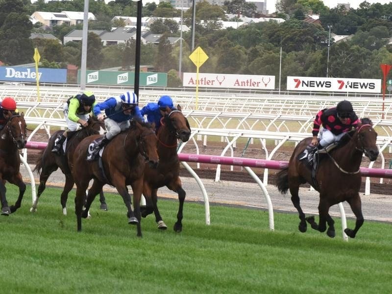 Ryan Maloney has ridden the Robert Smerdon-trained Al Dorama to win at Flemington. al
