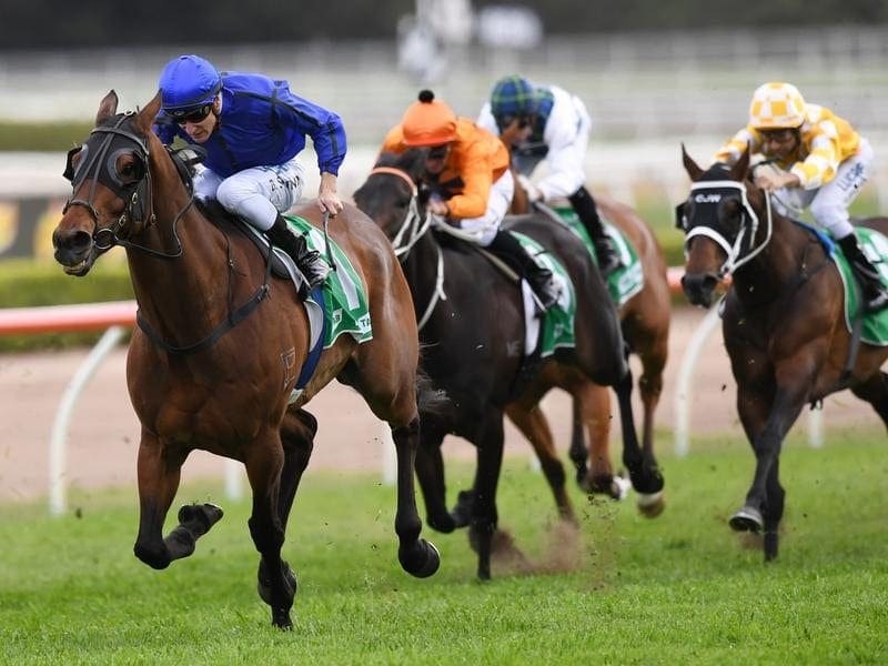 Epsom Handicap winner Happy Clapper will have one lead-up run into his next G1 assignment. clapper