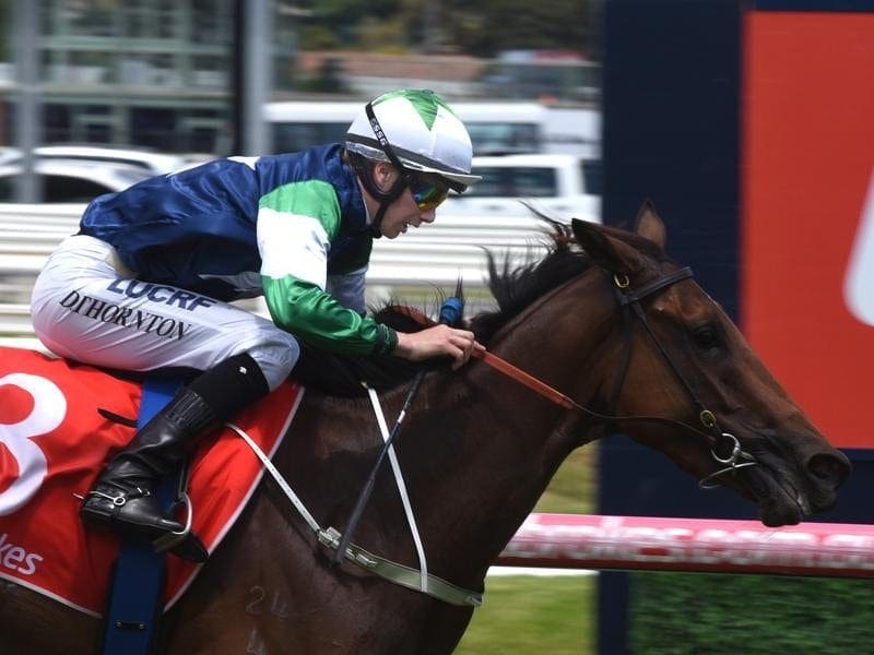 Paris Rock has maintained her unbeaten record with a strong win at Caulfield. Jockey Damien Thornton rides Paris Rock to win Race 3.