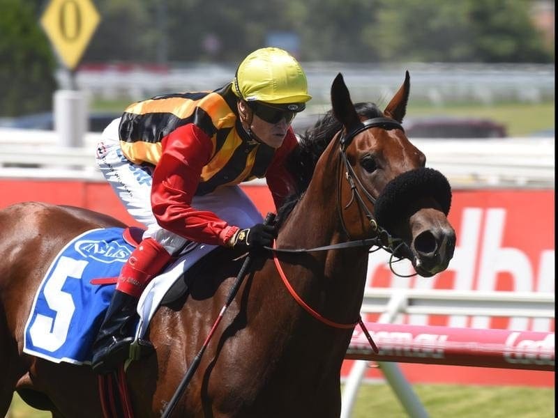 Craig Williams will ride Inglis Premier winner Kinky Boom in the Group One Blue Diamond Stakes. boom