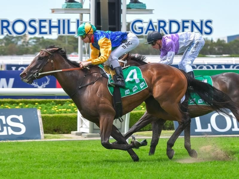 Try A Lil Harder wins the Highway Handicap at Rosehill