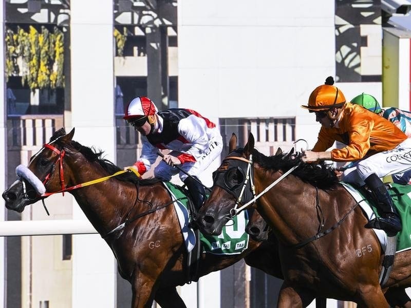 Christian Reith has ridden Almost Court to win the Canberra Cup for Barbara Joseph and Paul Jones. canberra cup