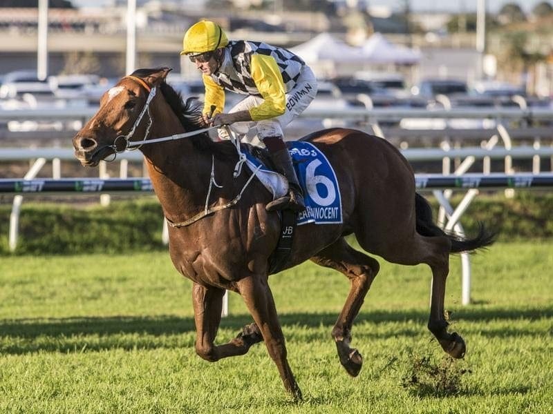 Hugh Bowman and Clearly Innocent will be out to claim a second G1 win in the Canterbury Stakes. clearly innocent