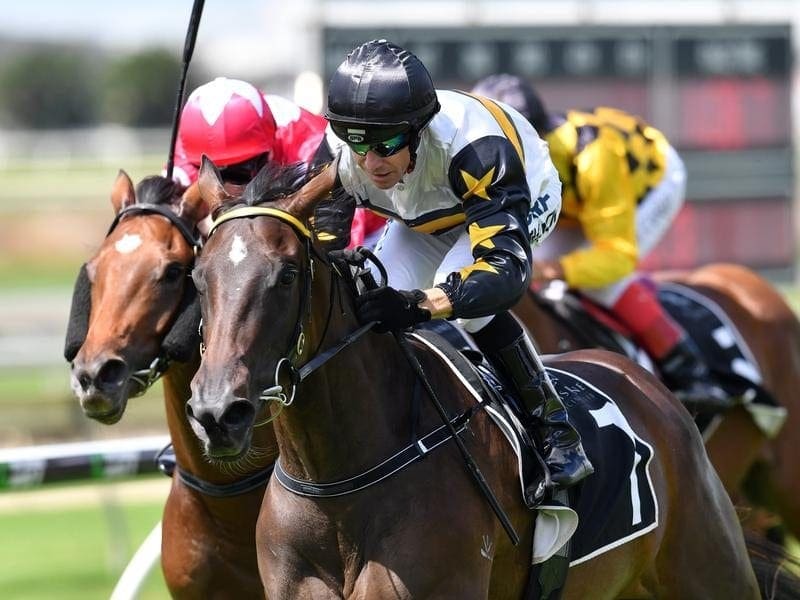 First Class Miss has given jockey Sean Cormack his first Doomben win in almost a decade. First Class Miss wins at Doomben.