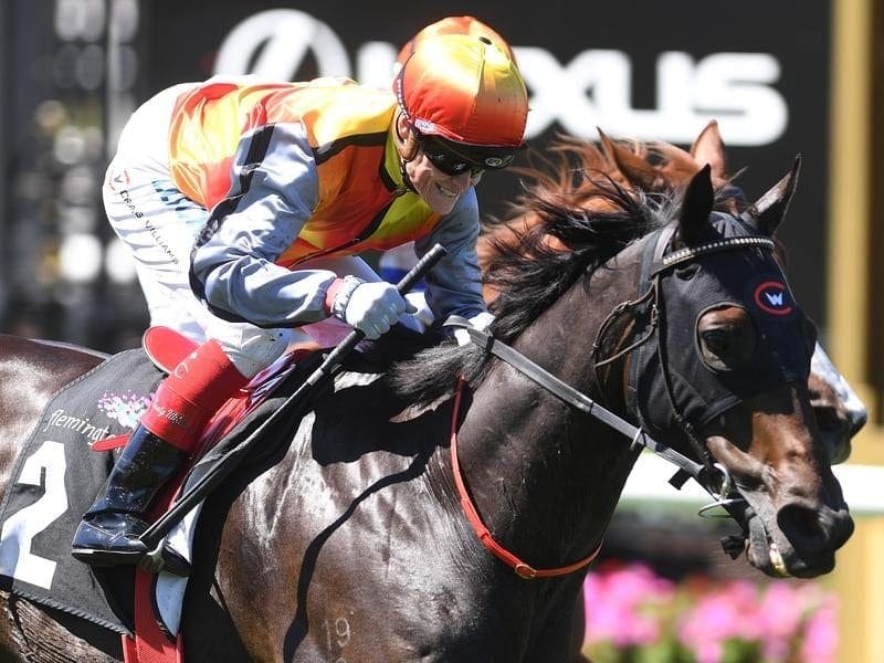 Demonstrate has won his second race in a row for jockey Craig Williams's family. Craig Williams rides Demonstrate.