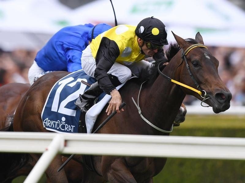 A bigger, stronger In Her Time gets anothe chance for a Group One win in The Galaxy. in her time