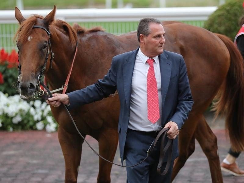 Trainer Grahame Begg will run Written By in the Pago Pago Stakea rather than a Randwick trial. written by
