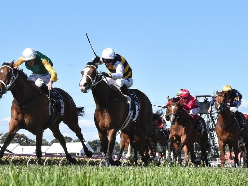 Tom Melbourne (right) will be out to defy his reputation as a placegetter when he runs at Rosehill. tom melbourne