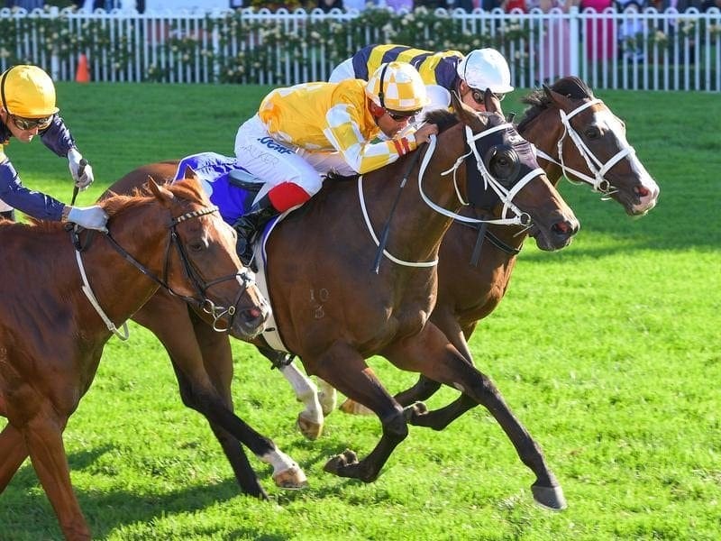 Jockey Michael Walker rides Comin' Through to win race 8.