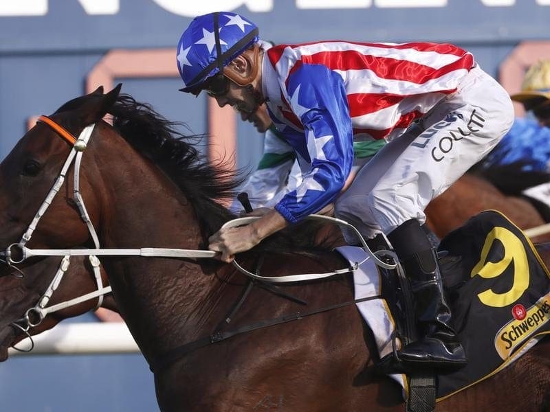 Sugar Bella attempt to add to her last-start Group Three win in the Birthday Card Quality. sugar bella