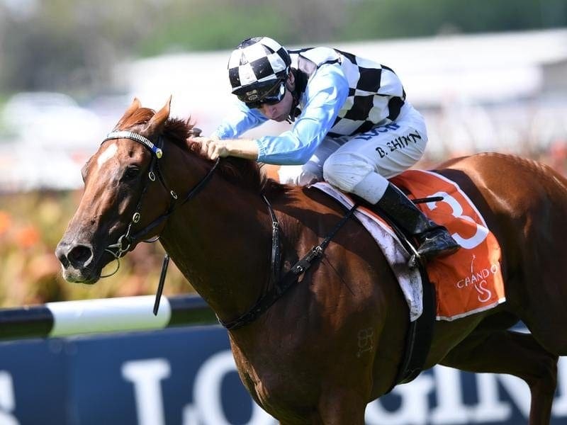 I Am Excited's next race is the Arrowfield Sprint after winning the Darby Munro Stakes at Rosehill. I Am Excited ridden by Blake Shinn