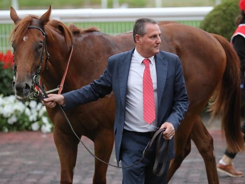 Trainer Grahame Begg has no concerns about Slipper contender Written By handling clockwise racing. grahame begg