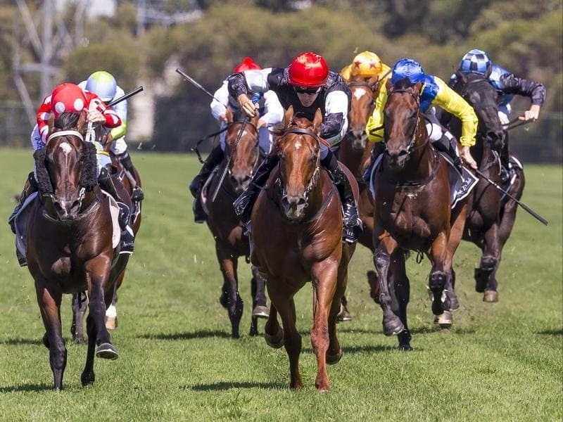 Written By is on target for the Golden Slipper after his Pago Pago Stakes win at Rosehill. Jordan Childs rides Written By to win race 4, the Cafe Culture.
