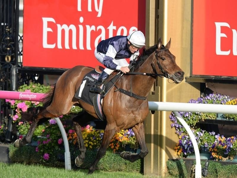 Kerrin McEvoy will be reunited with his 2016 Melbourne Cup winner Almandin in the Tancred Stakes. Almandin.