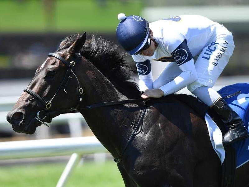 She Will Reign is an early favourite to add the William Reid Stakes to her impressive record. She Will Reign