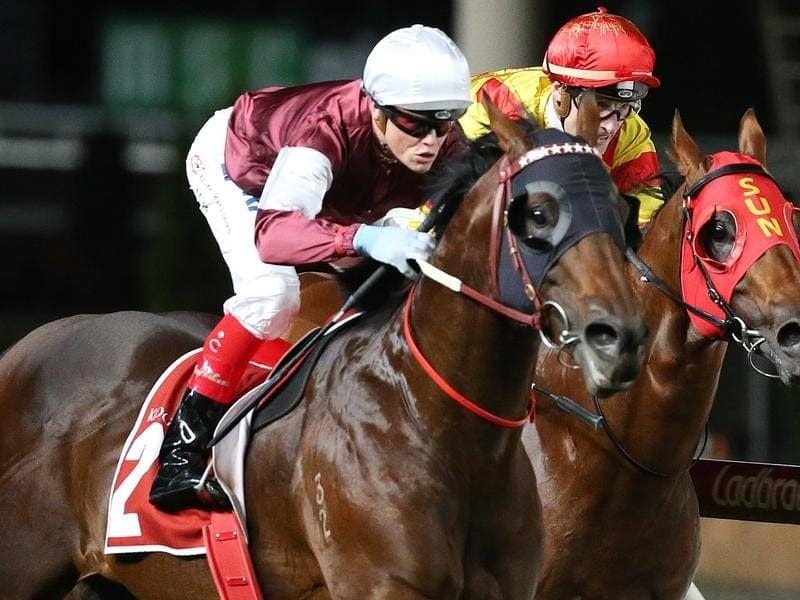 The Darren Weir-trained Hellbent has claimed the Group One William Reid Stakes at Moonee Valley. Jockey Craig Williams rides Hellbent.