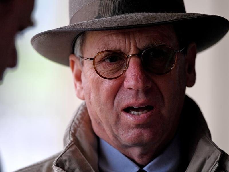 Trainer David Brideoake will run Naduri at Bendigo before preparing the filly for a spring campaign. david brideoake