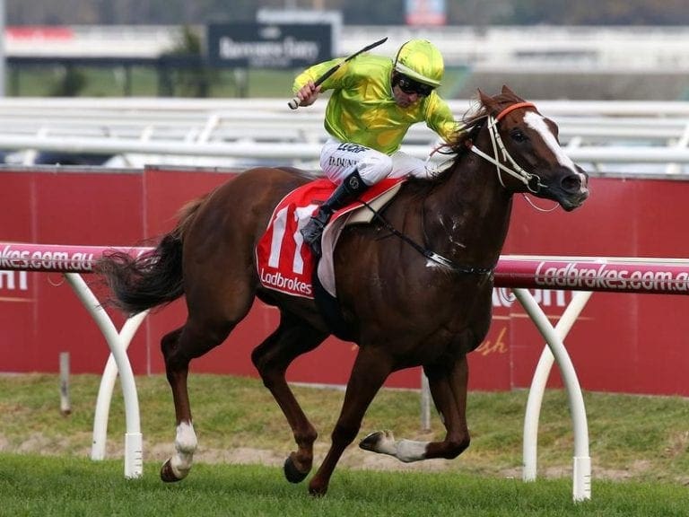 caulfield stakes odds