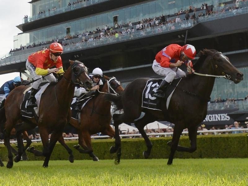 Jockey Damien Oliver believes Seabrook (right) deserved her win in the Champagne Stakes at Randwick. Seabrook ridden by Damien Oliver (right)