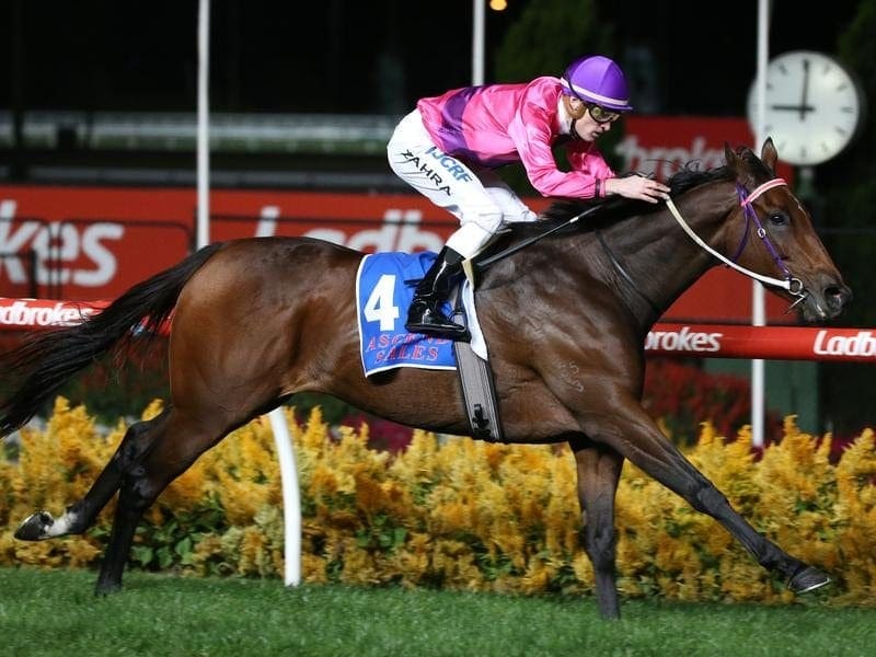 Victorian trainer Ken Keys believes Spanish Reef can be competitive at Group One level in Sydney. spanish reef