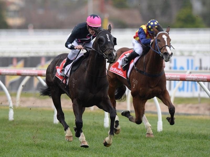 Mr Sneaky (left) will be one of four Doomben runners for Victorian trainer Anthony Freedman. Mr Sneaky wins at Caulfield.