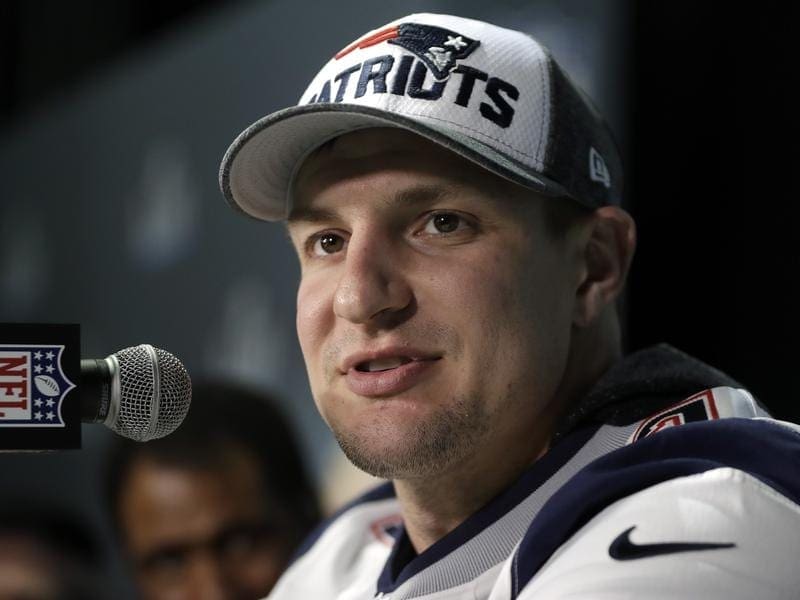 New England Patriots tight end Rob Gronkowski has bought a share in a horse named Gronk. gronk