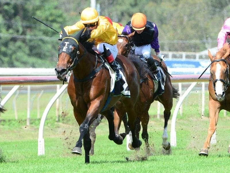 Invincore has made a winning debut at Ipswich despite doing several things wrong. invincore