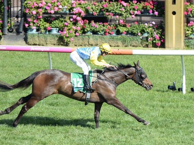 Bring Me Roses gets her second chance to win an Oaks when she runs at Randwick. bring me roses
