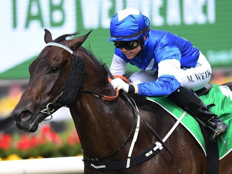 Apprentice Mikayla Weir has ridden Nic's Vendetta to victory at Randwick. Nic's Vendetta ridden by Mikayla Weir